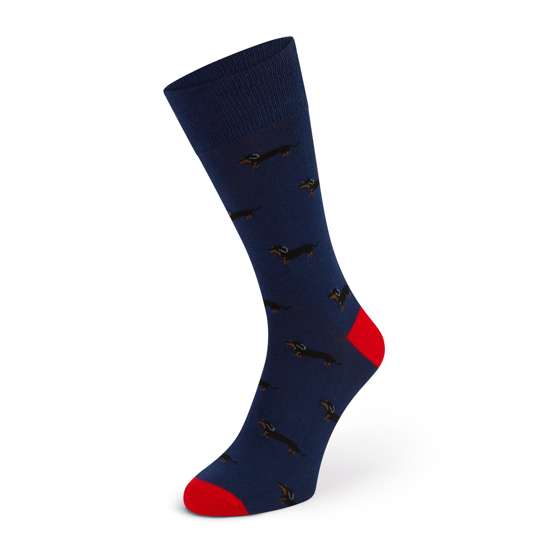 Sutton Navy Red Dachshound Cotton Sock