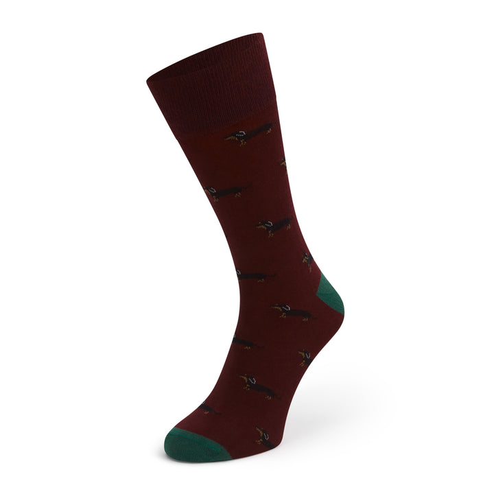 Sutton Red Green Dachshund Cotton Sock