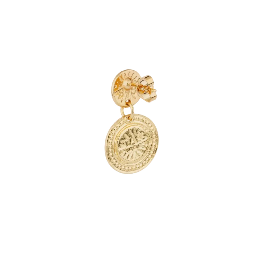 Sequin Earrings
