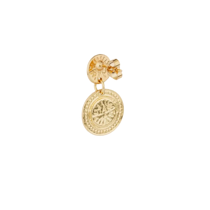 Sequin Earrings
