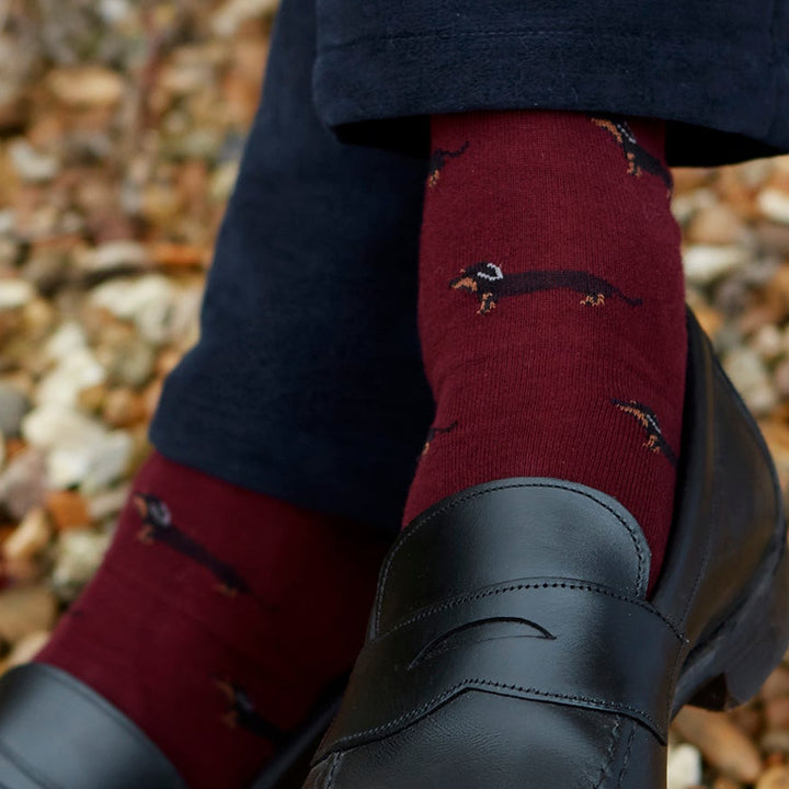 Sutton Red Green Dachshund Cotton Sock