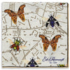 White Insect Map Printed Silk Pocket Square