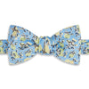 Blue and Yellow Climbing Floral Printed Silk Tie